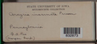 Image Associated With the Occurence